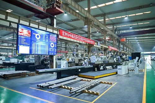 对话重庆市国资委副主任杨谊 重庆如何以长沙软件开发为借鉴推进市属国企数字化转型